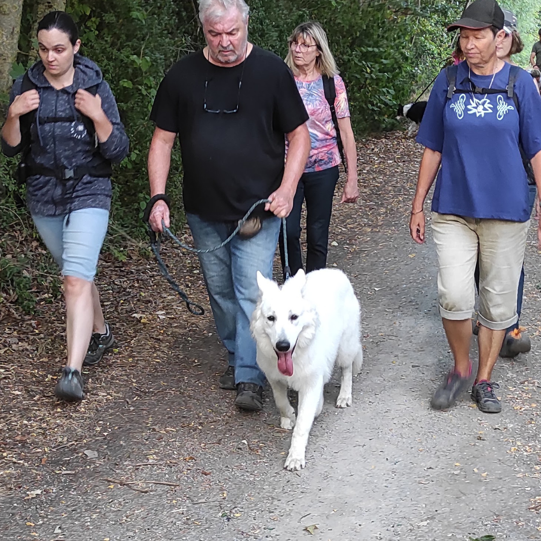 Rééducation comportementale, chien réactif congénère, chien réactif humain, chien qui détruit, chien protection de ressource, chien peur, chien phobie, chien aboiements, chien craintif, chien intenable, chien foufou.       